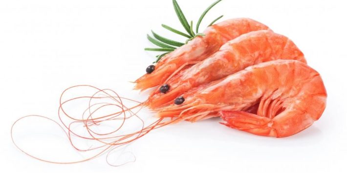 Pronti bio