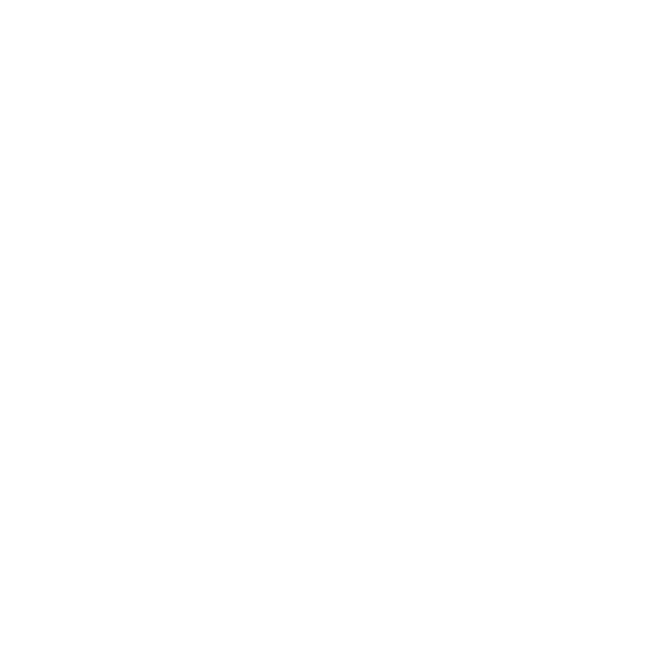 Saloni delle Feste – Palazzo Imperiale